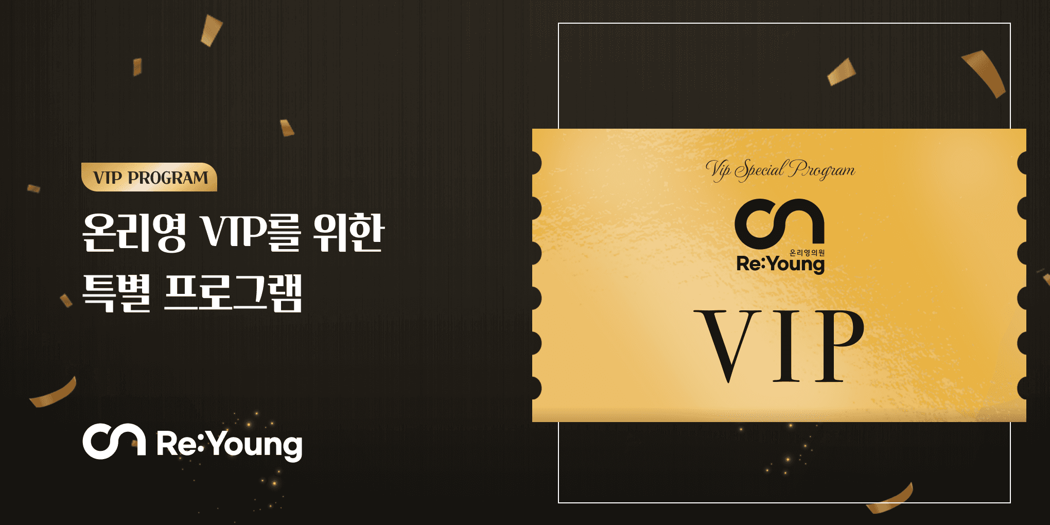 VIP 프로그램